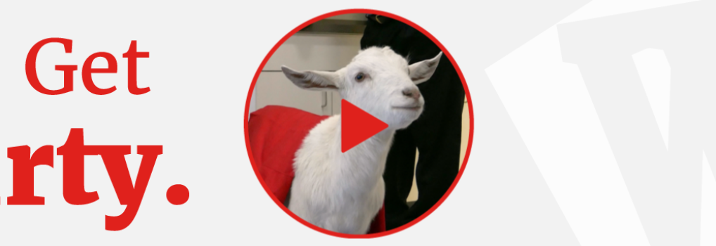 The Epic Saga of Gus the Goat and Wesley – Commercial Cleaning